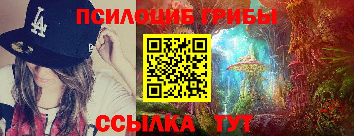 Галлюциногенные грибы GOLDEN TEACHER Каспийск