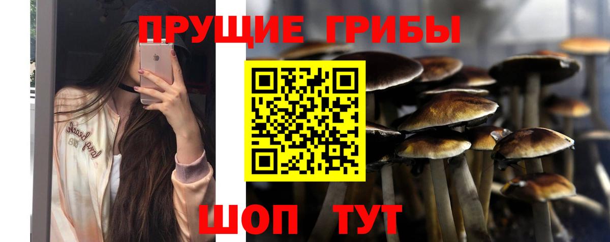 Каспийск  Псилоцибиновые грибы прущие грибы  Вход с VPN 