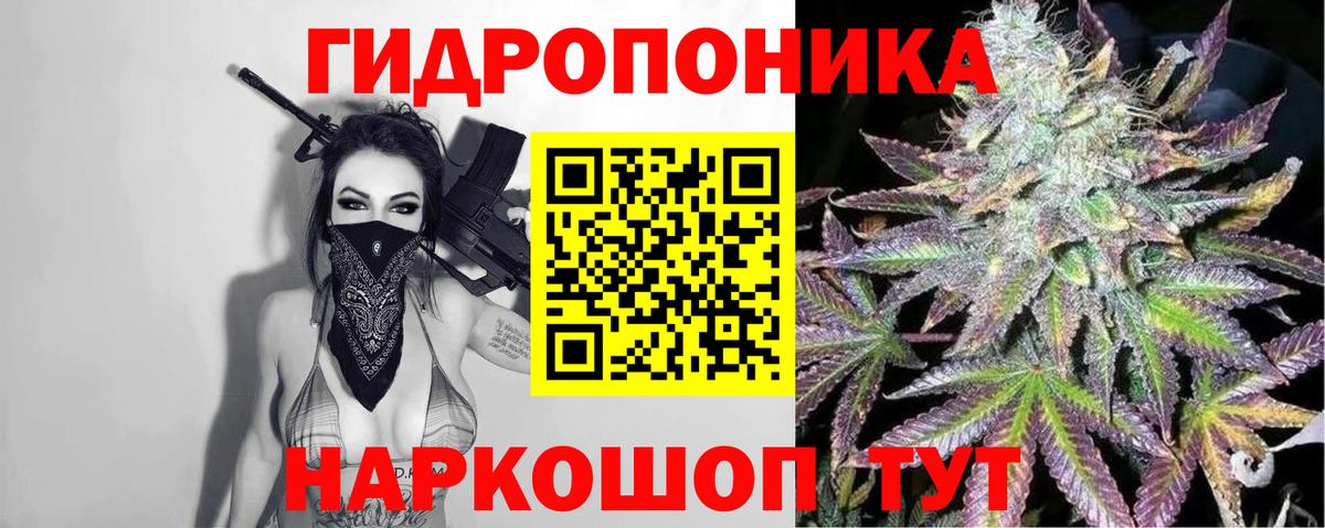 Бошки марихуана семена  Бошки Шишки сатива  Бошки Шишки индика  Каспийск  Вход с VPN  МАРИХУАНА OG Kush 